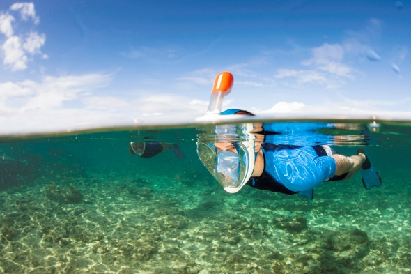 boat trip quarteira algarve boat trips boat trip quarteira algarve boat trips