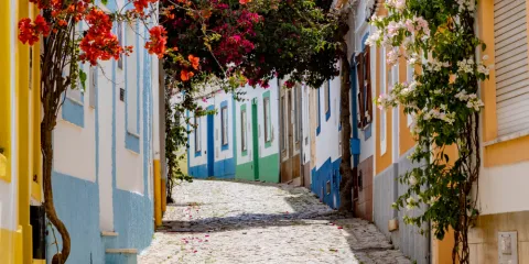 Algarve Boom In US Visitors - Azulejos of the Algarve: Exploring Portuguese Tile Art