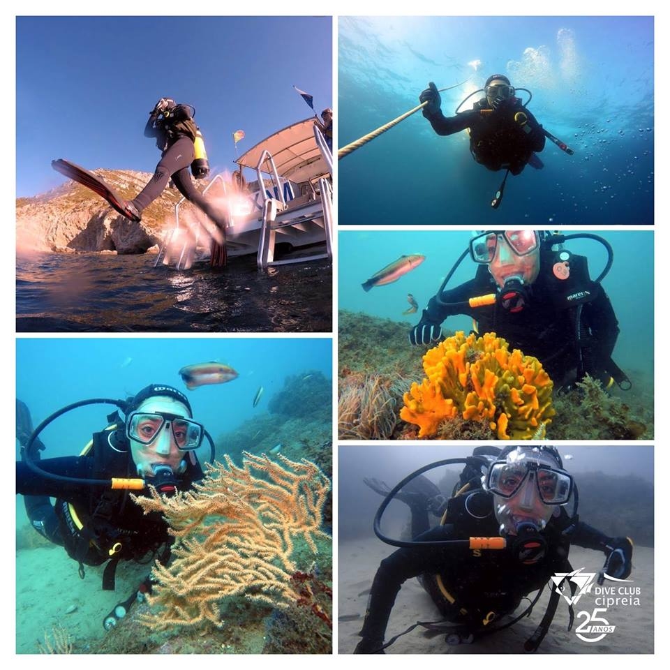 Scuba diving Lagos - Algarve Boat Trips and Tours - Lagos Activities
