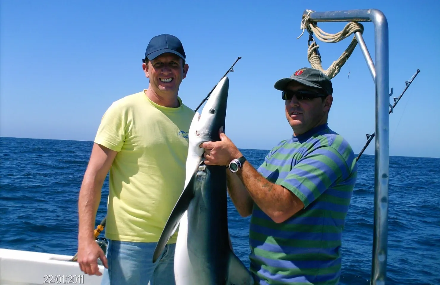 SHARK FISHING - Boat Fishing Algarve