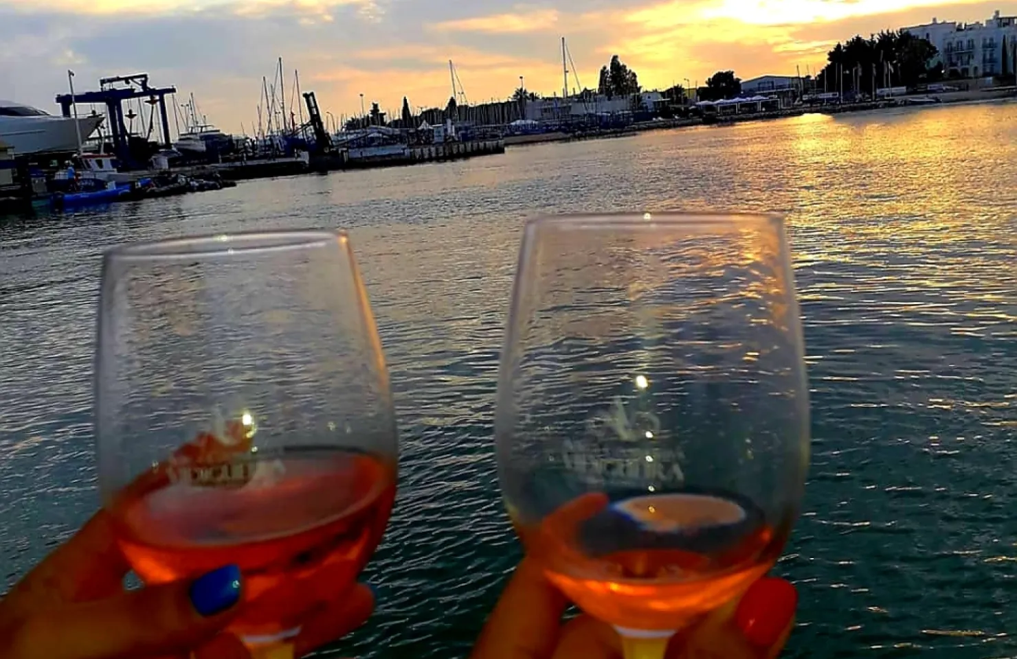 Private Marina Tour - Algarve Boat Trips and tours