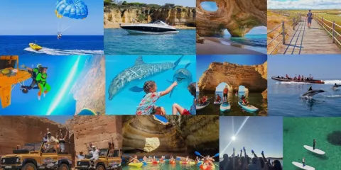 As Melhores Atividades no Algarve: Experiências Imperdíveis em Terra e Mar - Patacas Bar em Vilamoura: Um Refúgio Autêntico para Descobrir a Cultura Portuguesa