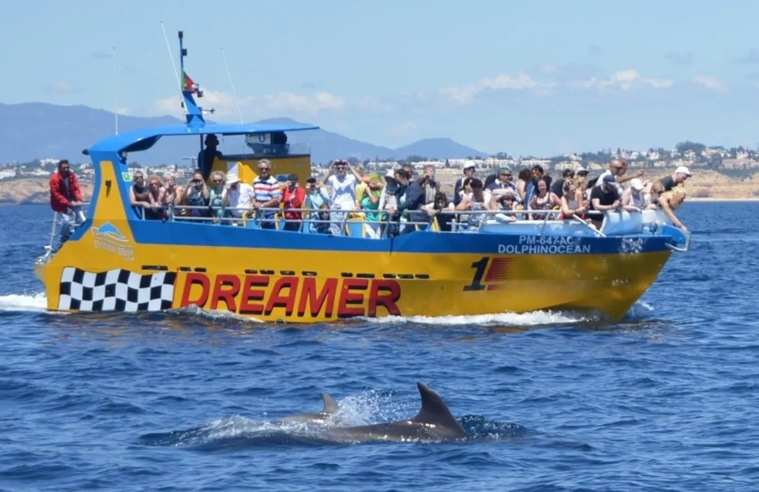 Dreamer - Caves & Dolphin Watching - Best Activities in Albufeira