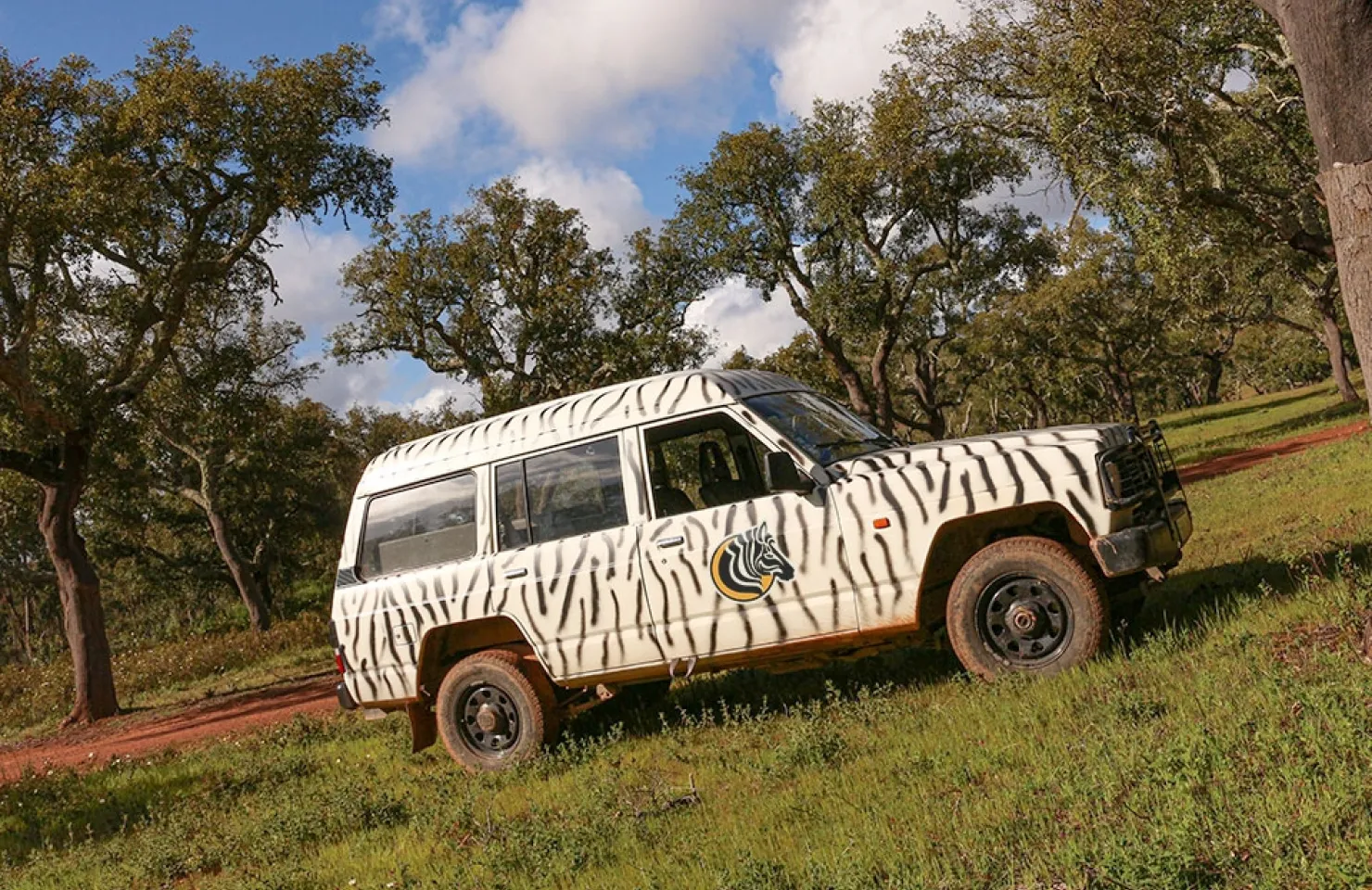 Full-Day Jeep Safari Adventure by Zebra Safari - Algarve buggies tours