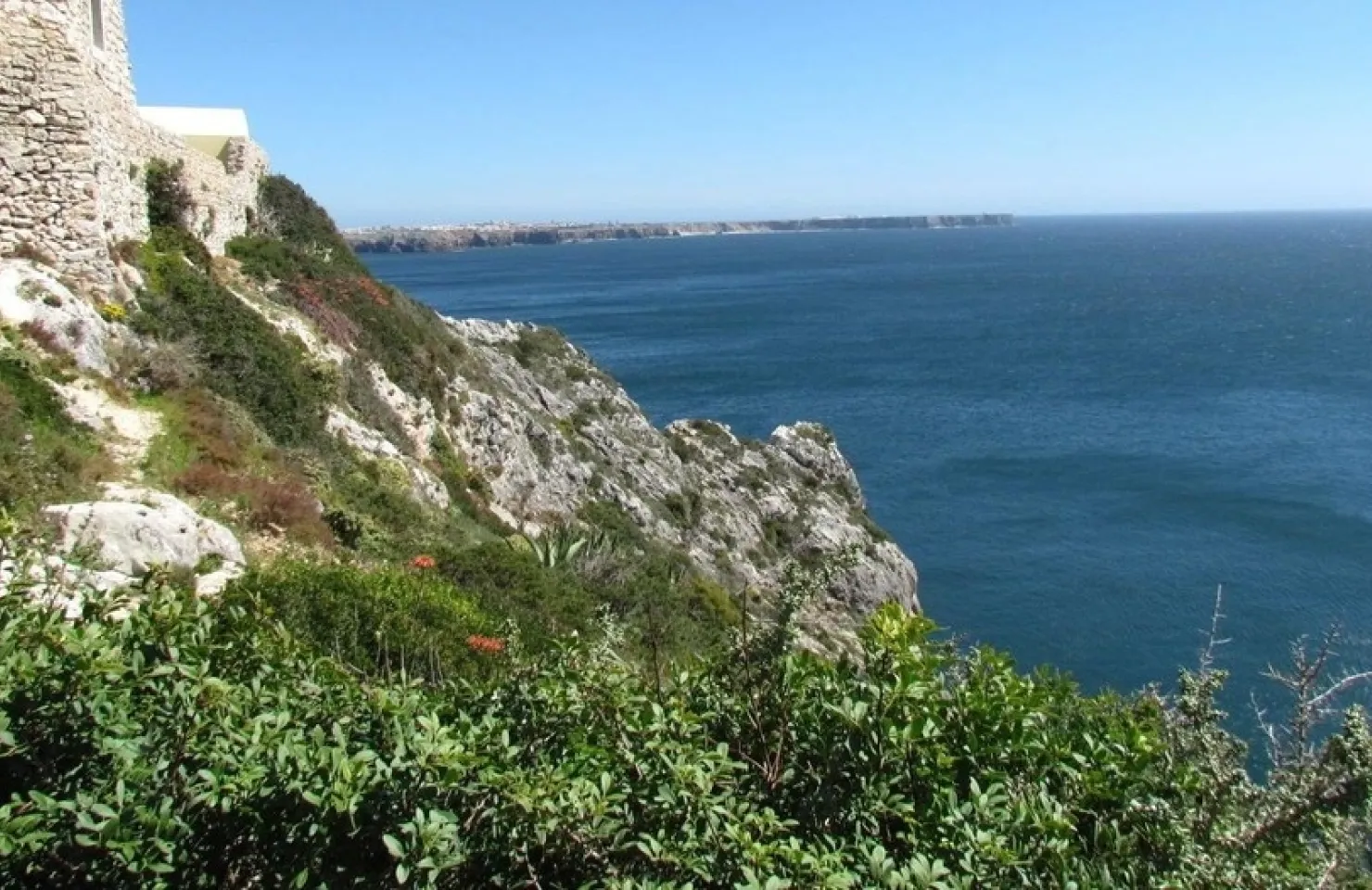  Rocha Life Birdwatching Expedition - Algarve Nature Adventures