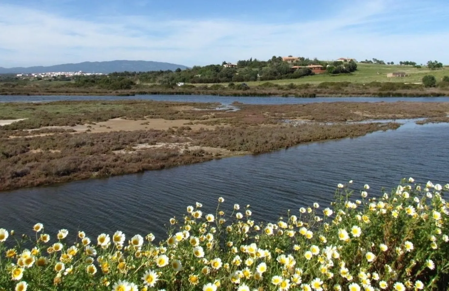 Rocha Life's Ria de Alvor Nature Walk - Algarve Nature Adventures