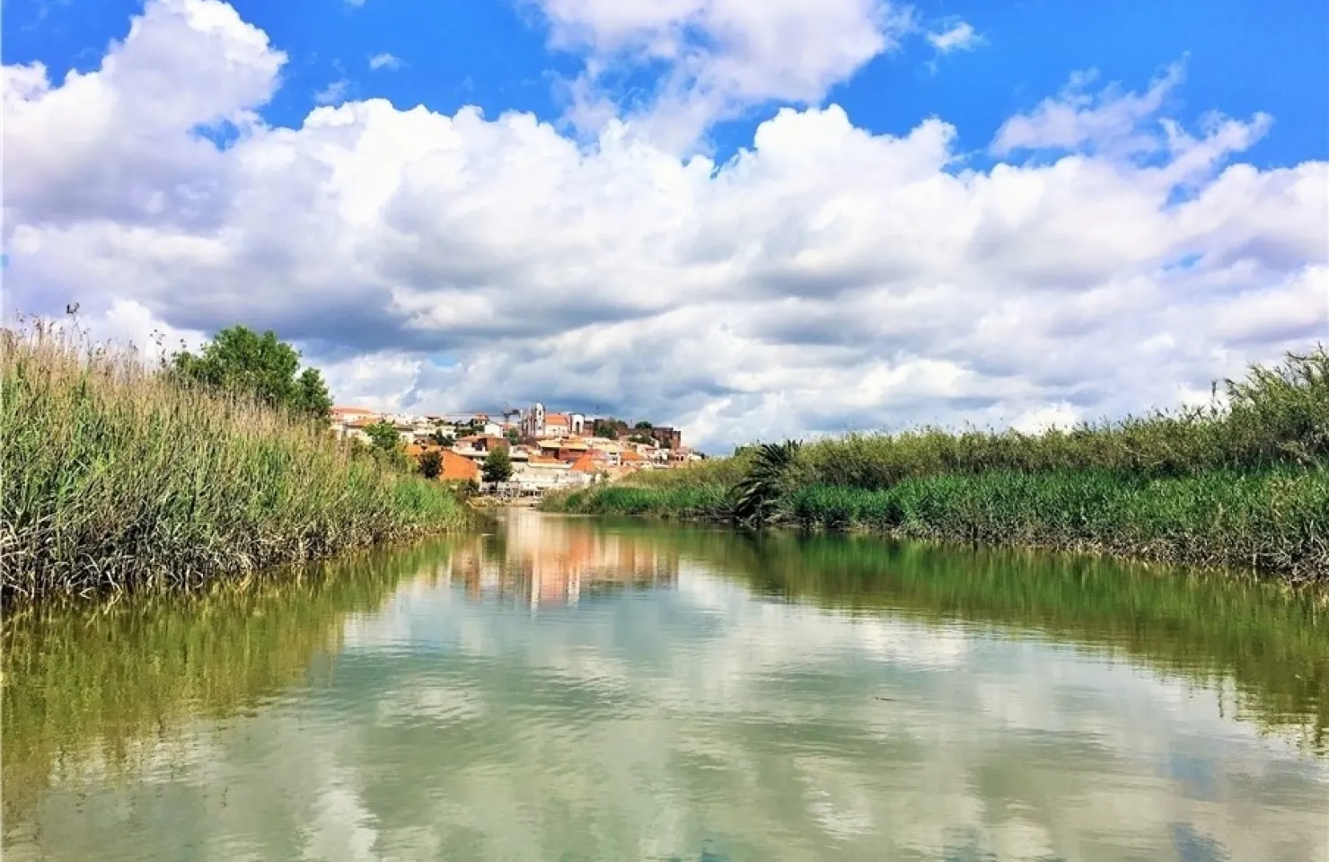 Silves and Arade Eco Tour - Portimao top activities and things to do.