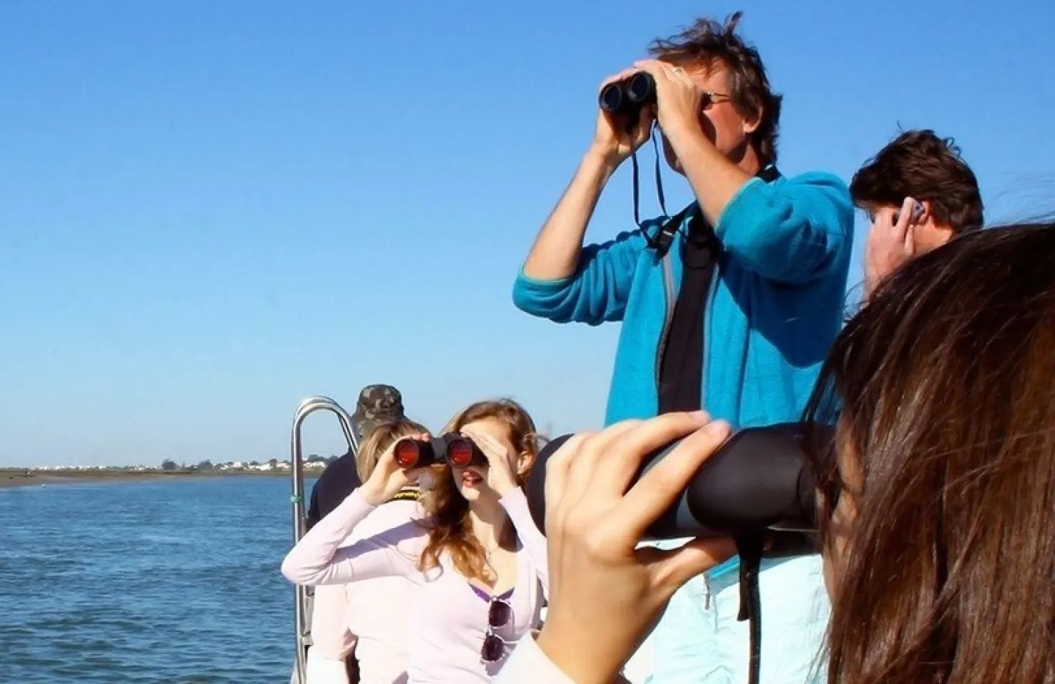 Birdwatching Experience in Ria Formosa - Algarve Nature Adventures
