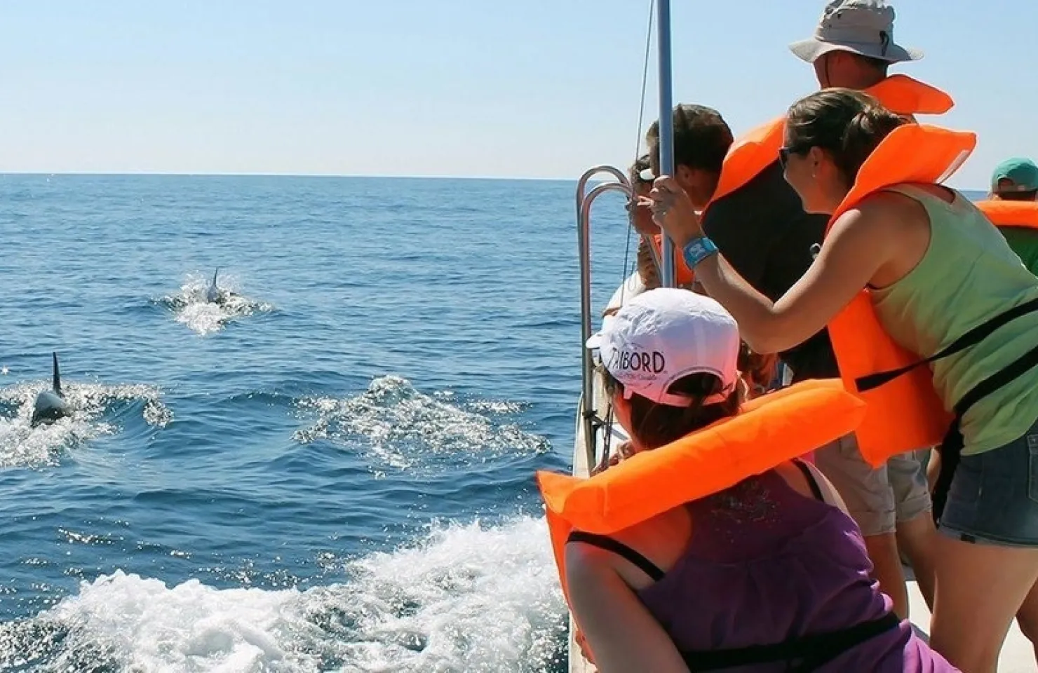 Dolphin Watching Tavira - Activities and Things to Do in Ria Formosa Natural Park