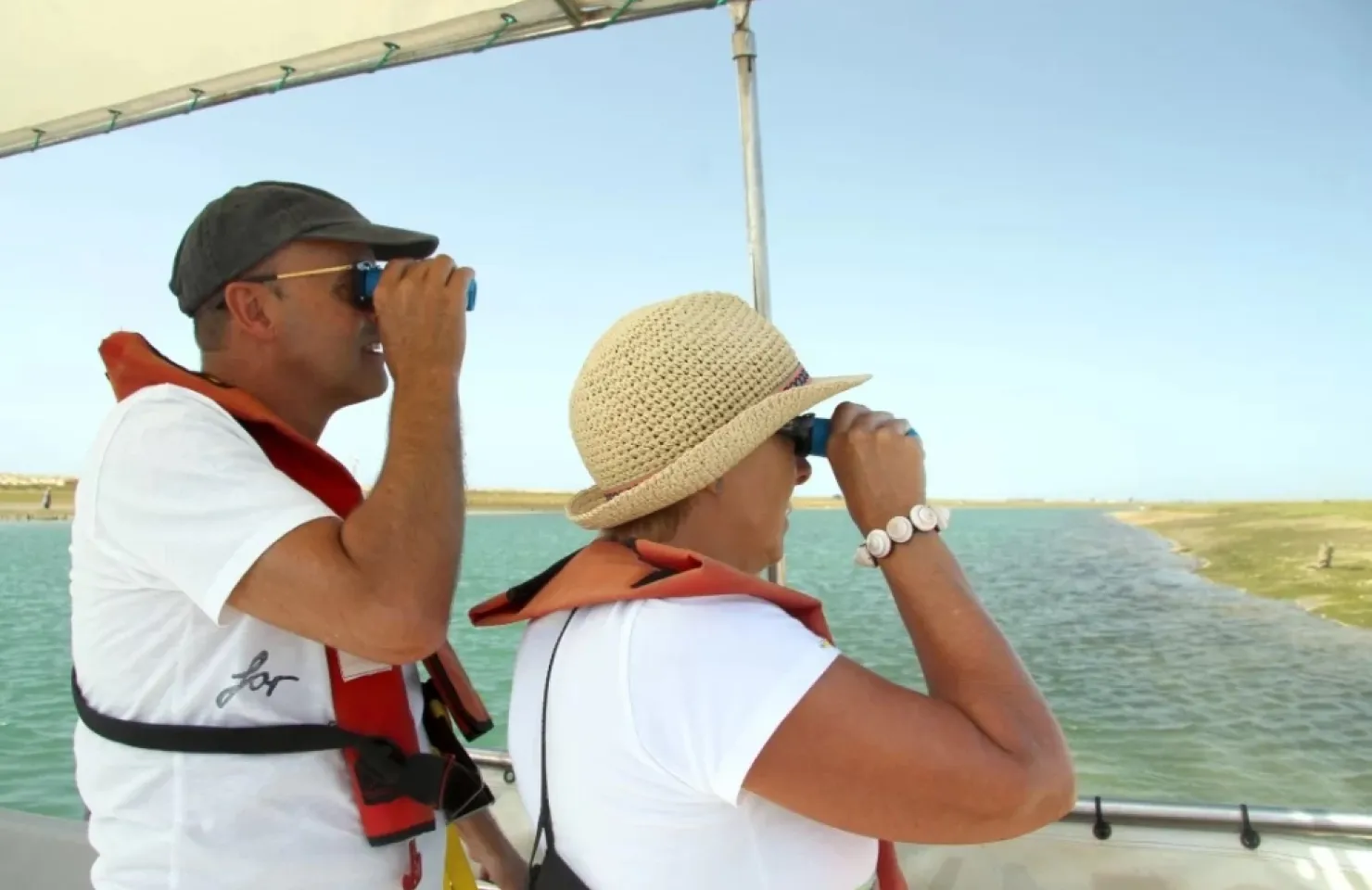 Birdwatching in Ria Formosa from Tavira - Algarve Nature Adventures