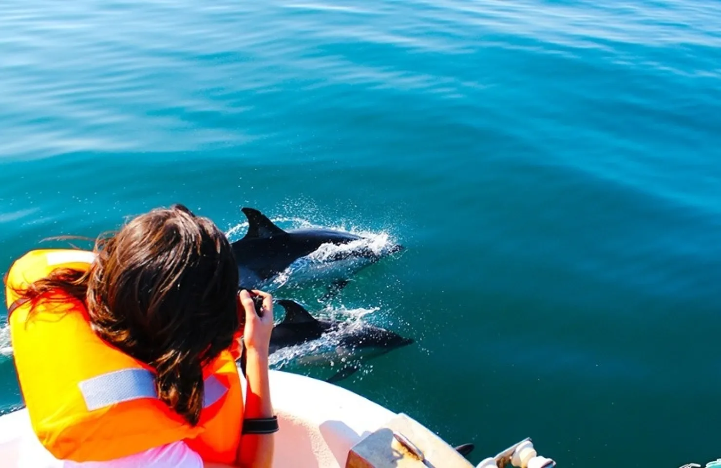 Dolphin Watching Fuzeta - Activities and Things to Do in Ria Formosa Natural Park