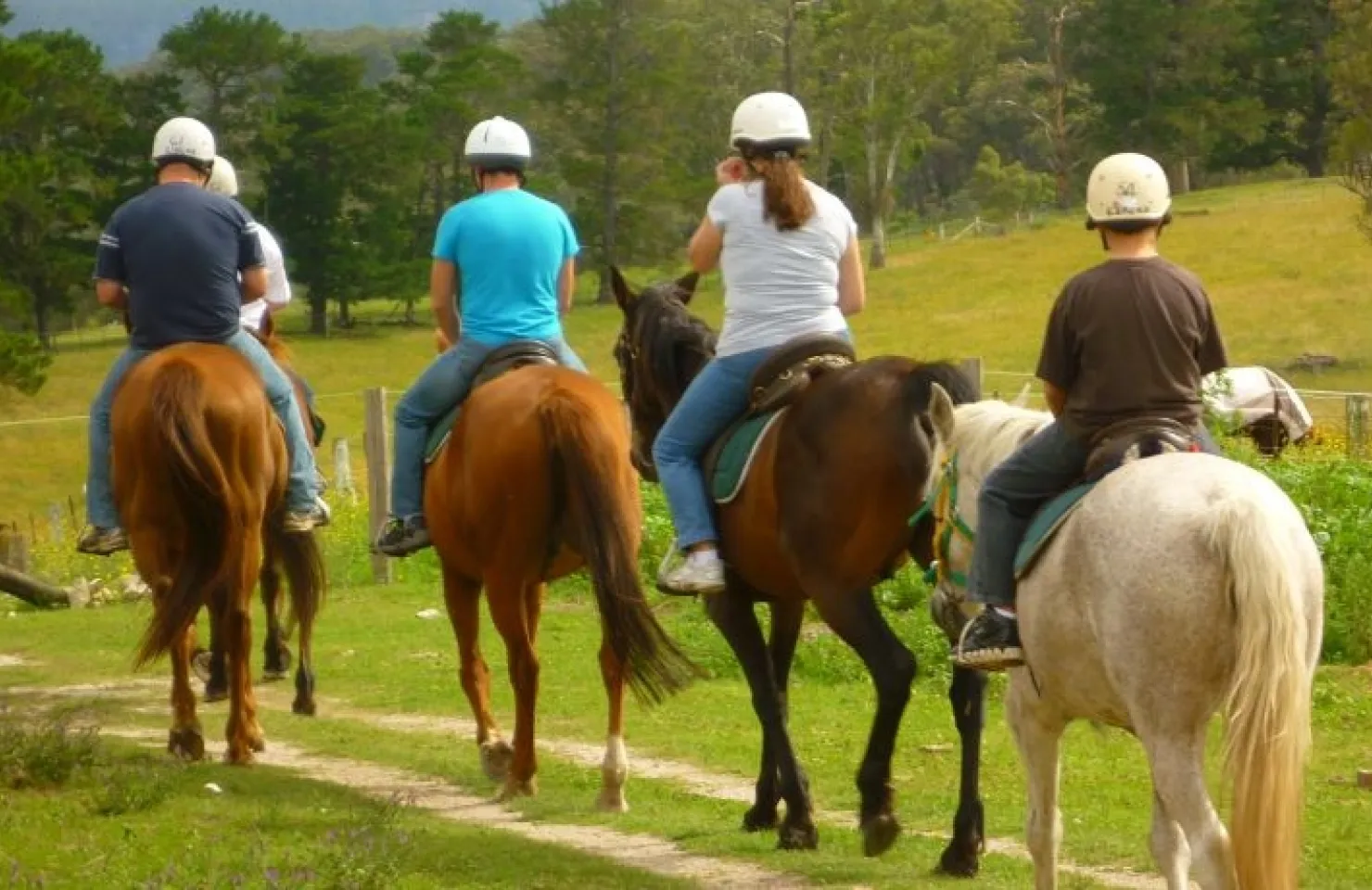 Nature Tours Algarve - Lagos things to do Algarve