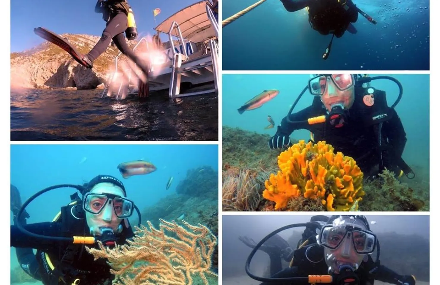 Scuba diving Lagos - Algarve Boat Trips and Tours - Lagos