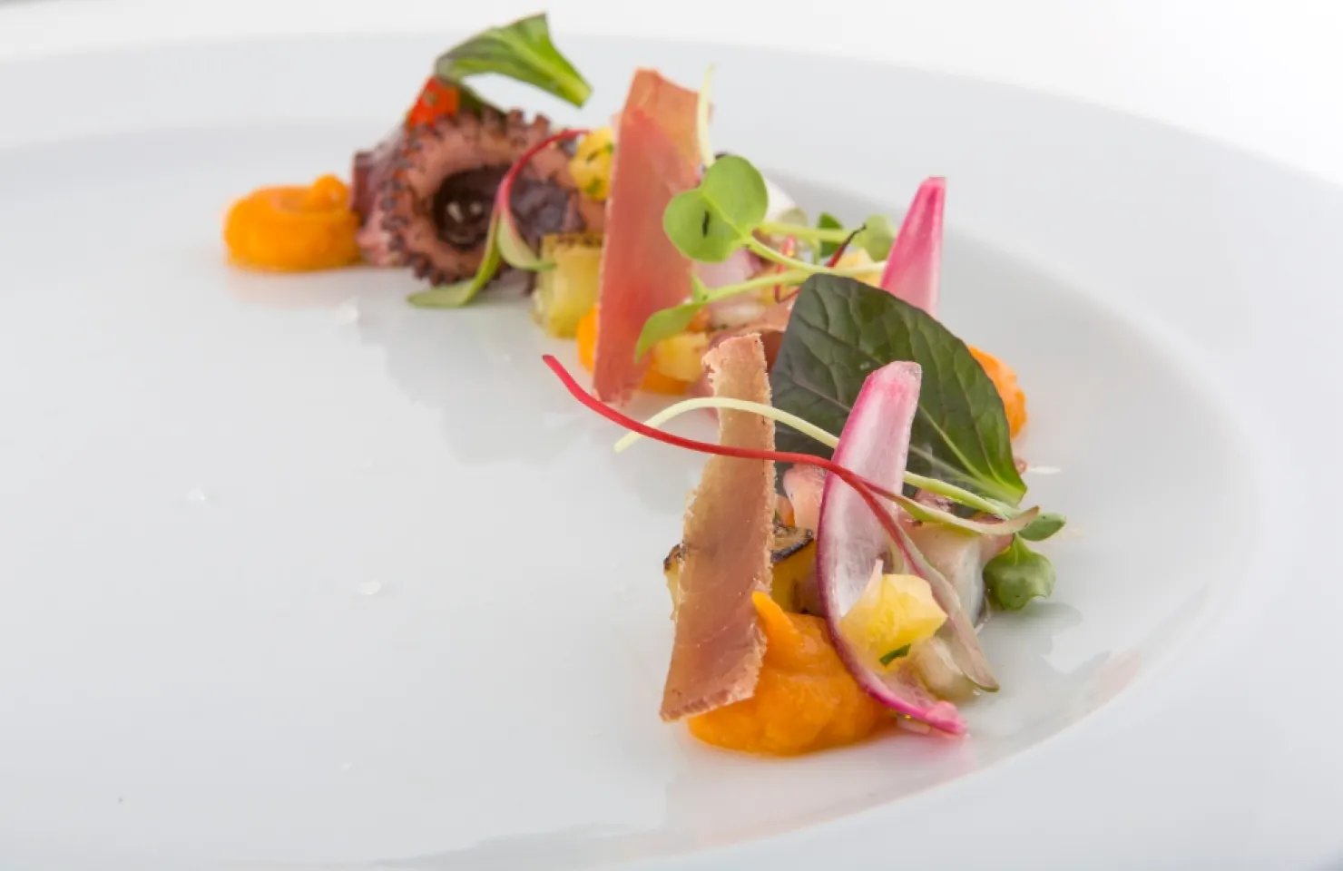 Luxury Cruise + Private Chef - Albufeira Luxury Cruise