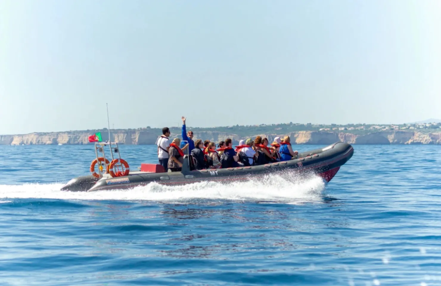 Ocean Destiny - Dolphin Watching Boats