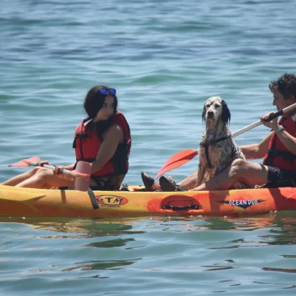 Kayak Rental in Armação de Perâ