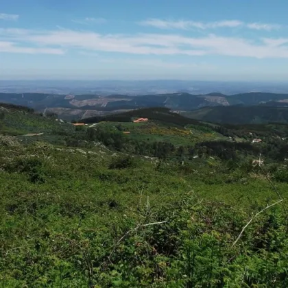 Birdwatching Paradise in Monchique