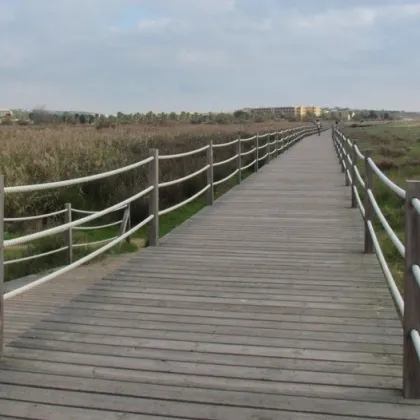 Birdwatching at Lagos dos Salgados