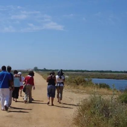 Walking Tour in the Ria Formosa