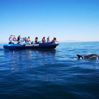 Algarve Boat Trips and Tours - Algarve Yacht Charter and Activities