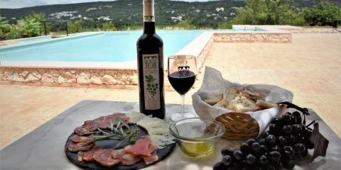 Quinta da Tôr: A Hidden Wine Experience in the Heart of the Algarve - Luxury Yacht Charters in the Algarve