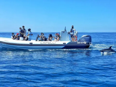Excursão costeira Oceaneye e observação de golfinhos