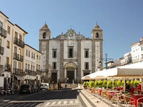 Safari & Cultural Private Tour to Évora