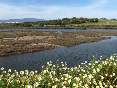 Rocha Life's Ria de Alvor Nature Walk