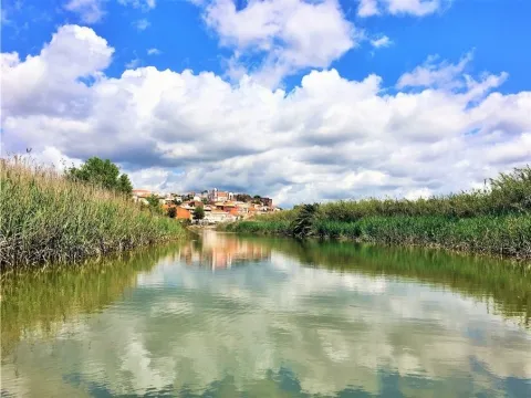 Silves and Arade Eco Tour