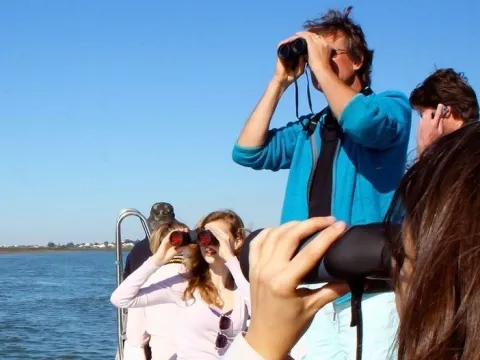 Birdwatching Experience in Ria Formosa