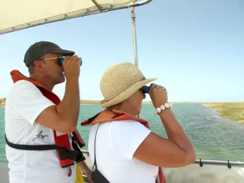 Birdwatching in Ria Formosa from Tavira