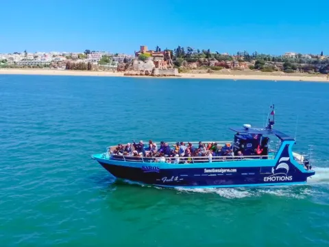 Kyros - Descoberta de Golfinhos na Marina de Portimão