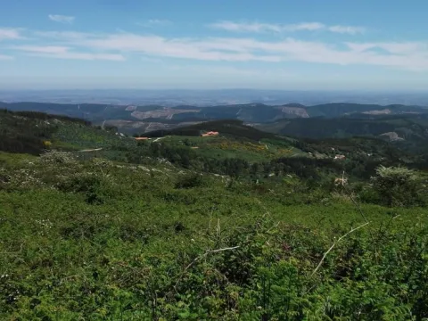 Birdwatching Paradise in Monchique