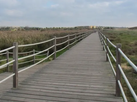 Birdwatching at Lagos dos Salgados