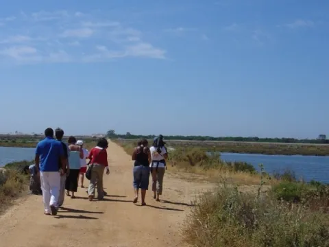 Walking Tour in the Ria Formosa