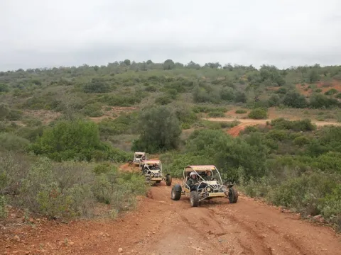 Buggy Safari