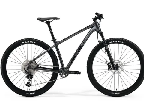 Mountain Bike Rental - MTB 29
