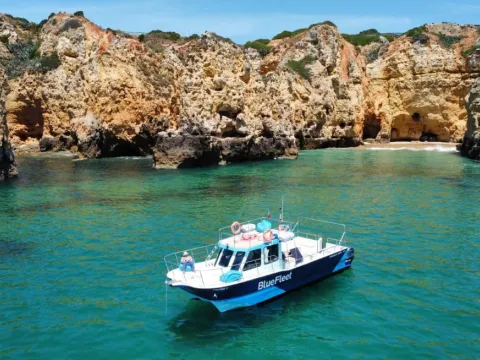 Ponta da Piedade Catamaran Cruise with Lunch