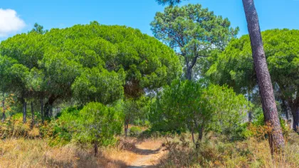 Hiking & Nature Trails in Ria Formosa