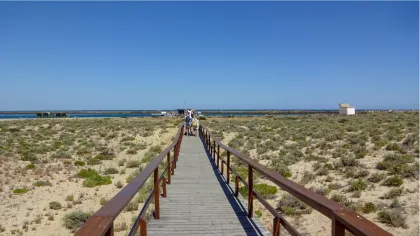 Top 10 activities in the Ria Formosa