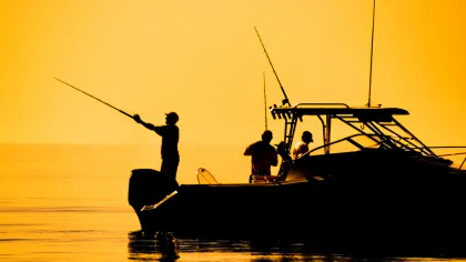 Aventuras de Pesca: Passeios de Pesca em Alto Mar no Algarve