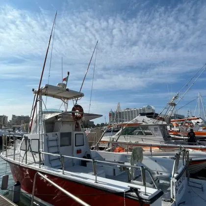 Cruzeiros da Oura Shark Fishing