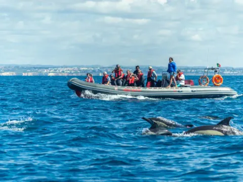 AlgarExperience Golfinhos e Grutas 