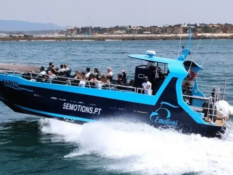 Dolphin Watching and Benagil Cave - Kyros Boat Charter Portimão