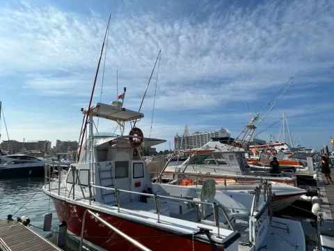 Cruzeiros da Oura Shark Fishing